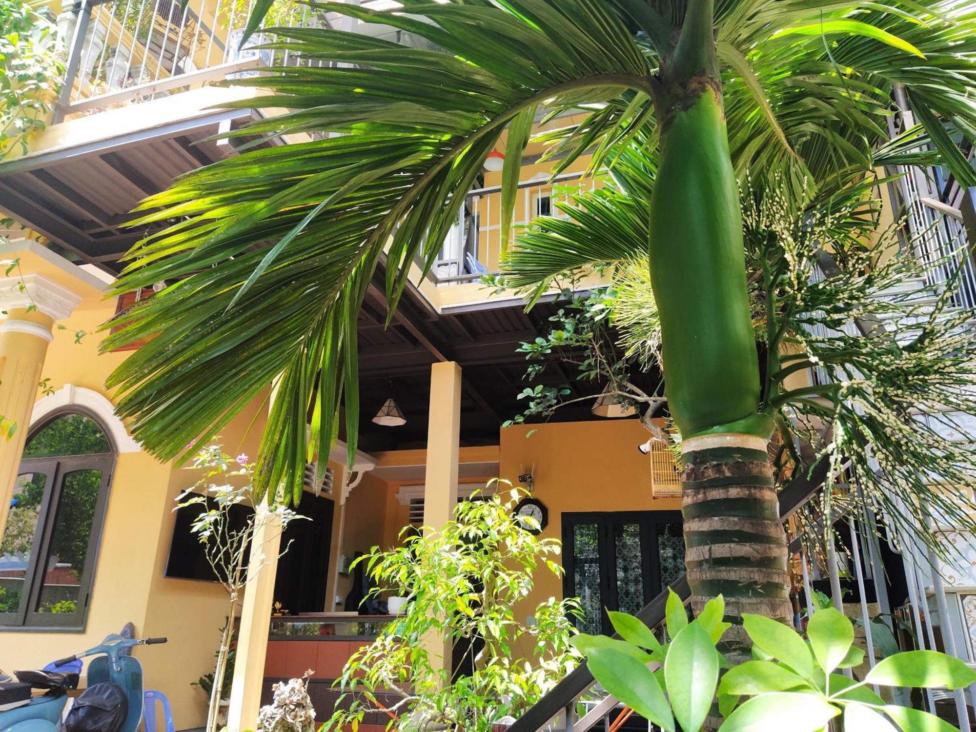 Q' Homestay Garden Villa Hue Zewnętrze zdjęcie